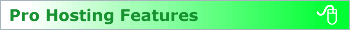 Pro Hosting Features