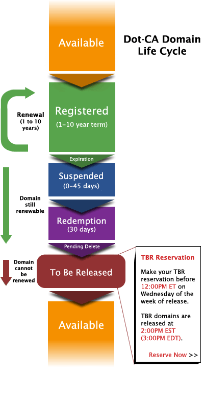 domain_lifecycle.gif